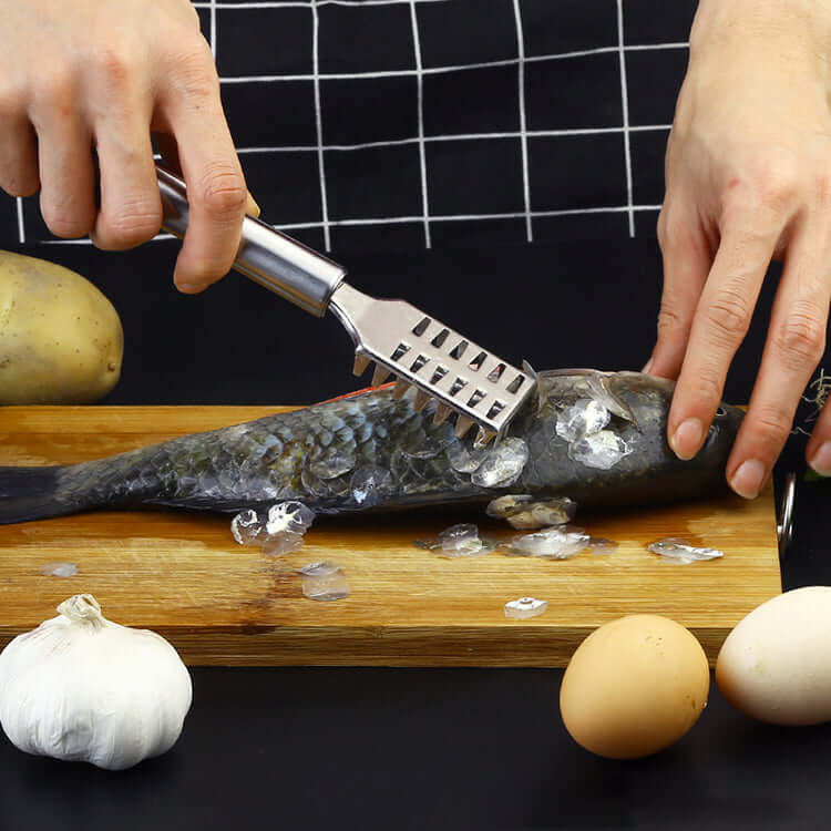 Stainless Steel Fish and Seafood Scale Remover